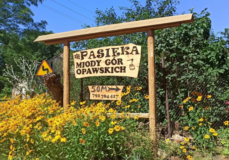 Pasieka Miody Gór Opawskich